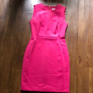 Pink Calvin Klein professional dress